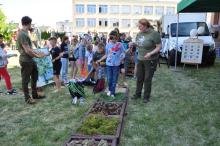 Las przygód, zapachów i smaków – ekologiczny piknik rodzinny