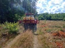 Bariera zapachowa na ASF