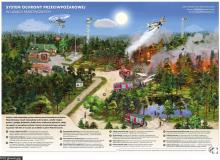 Susza w lasach – bądźmy ostrożni w majówkę!