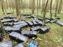 Toksyczna zbrodnia przeciwko naturze